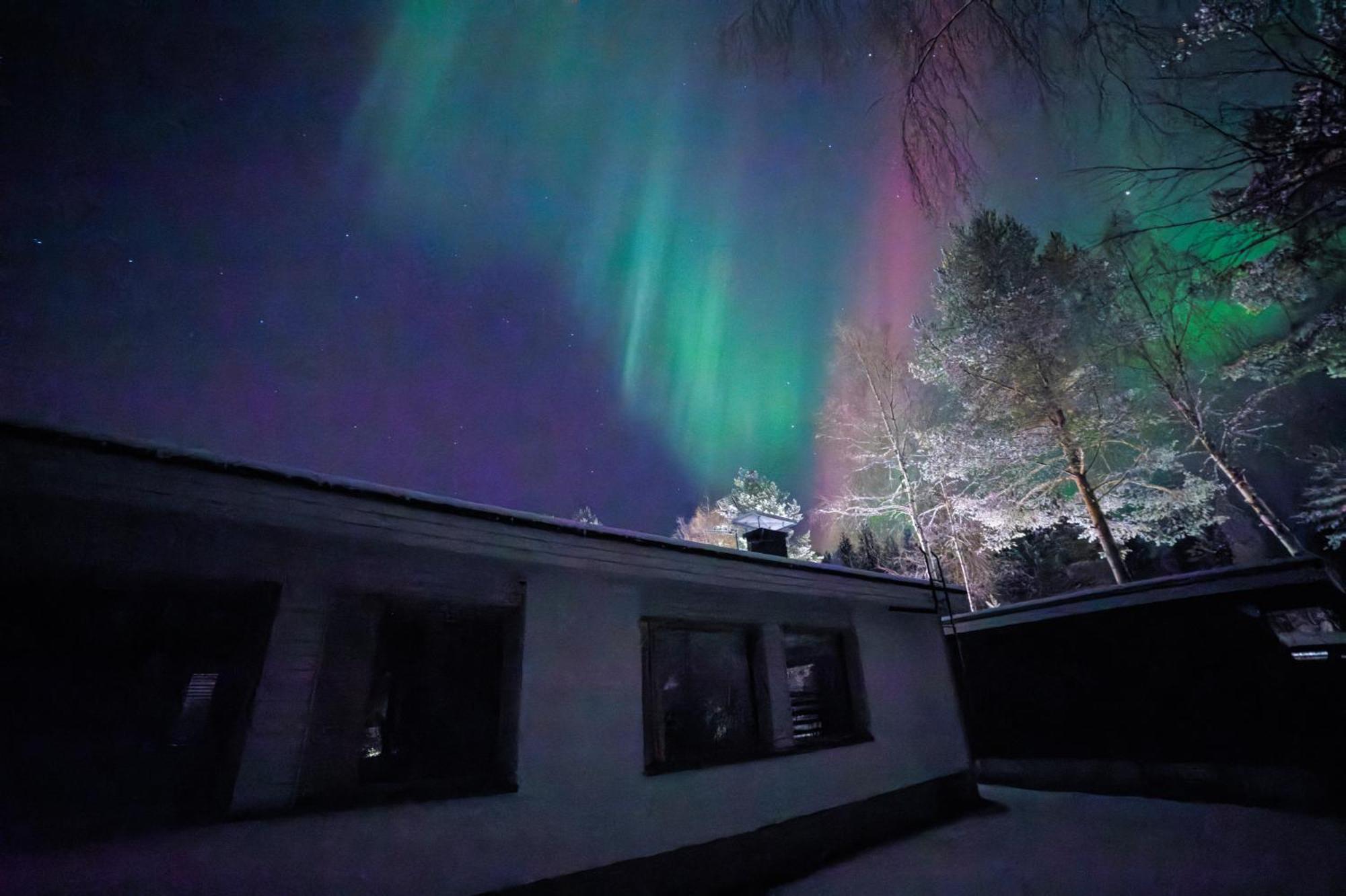 Arctic Aurora Villa With Sauna روفانييمي المظهر الخارجي الصورة