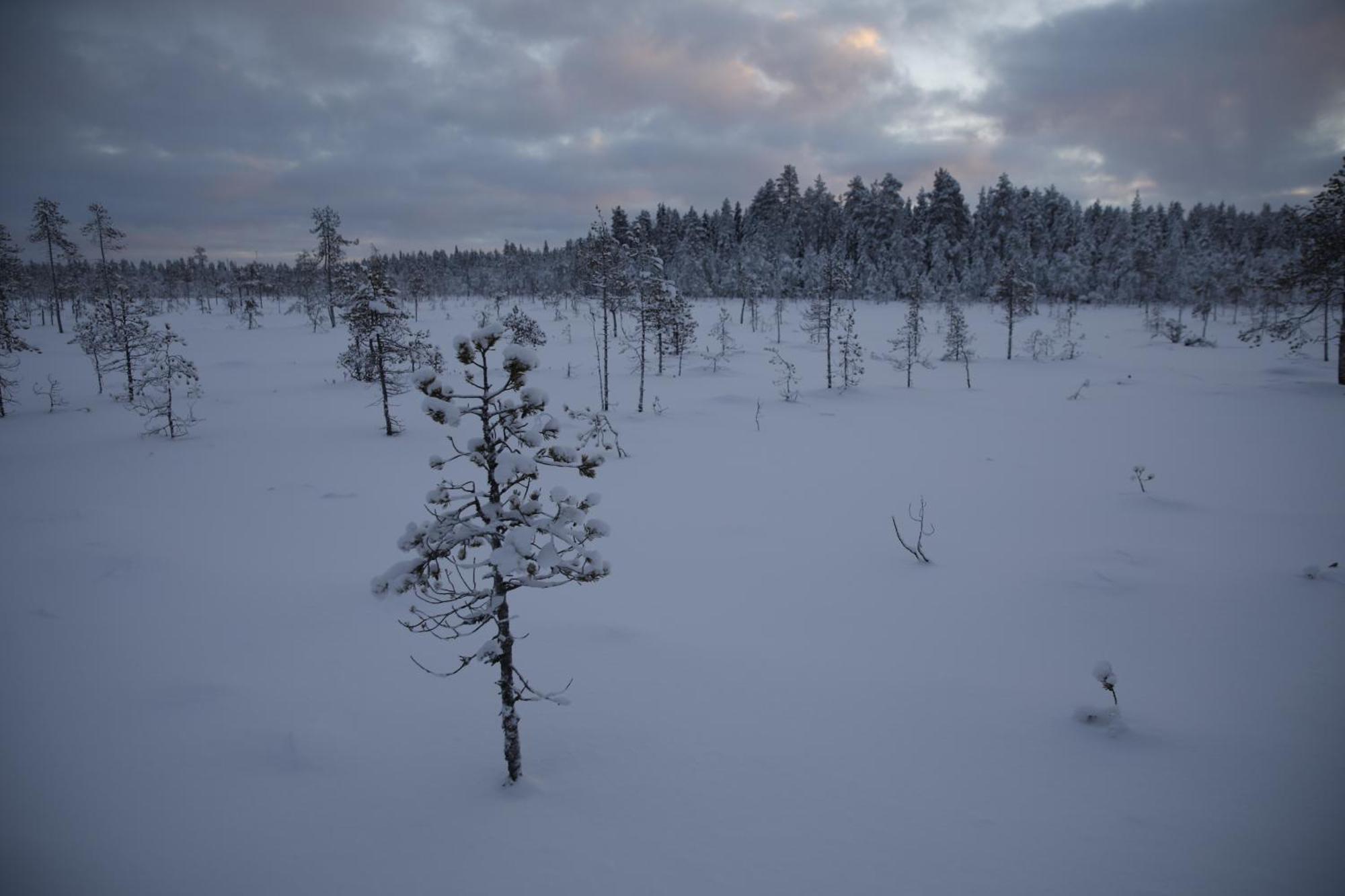Arctic Aurora Villa With Sauna روفانييمي المظهر الخارجي الصورة