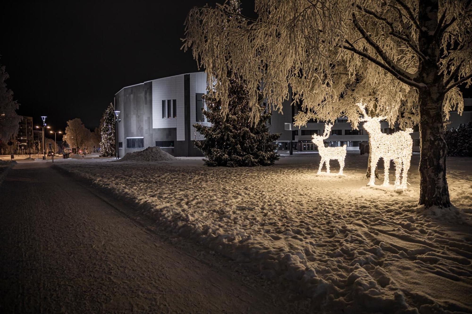 Arctic Aurora Villa With Sauna روفانييمي المظهر الخارجي الصورة